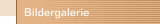 Bildergalerie